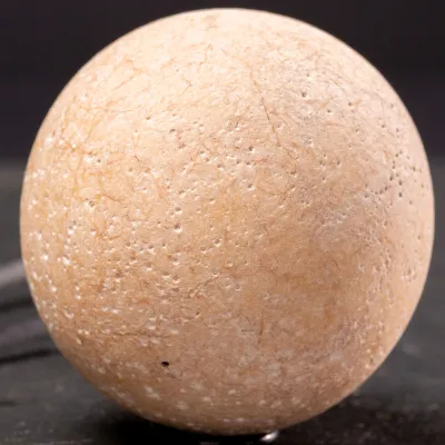 Uovo Fossile di Aldabrachelys Abrupta: Testimonianza di una Specie Perduta.