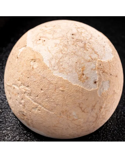 Uovo fossile di Aldabrachelys Abrupta: Relitto del Passato.