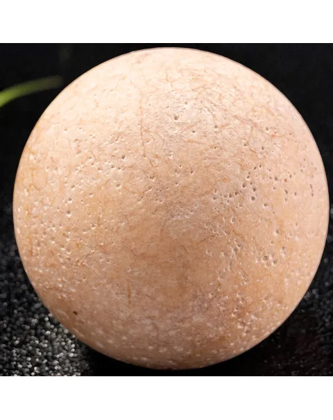 Uovo fossile di Aldabrachelys Abrupta: storia di riproduzione e adattamento.