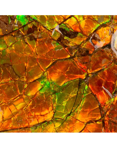 Esclusivo Pendente in Argento con Imponente Gemma di Ammolite.