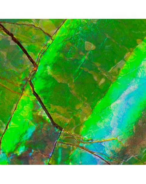 Gioiello in Argento con Ammolite Verde e Blu Iridescente.