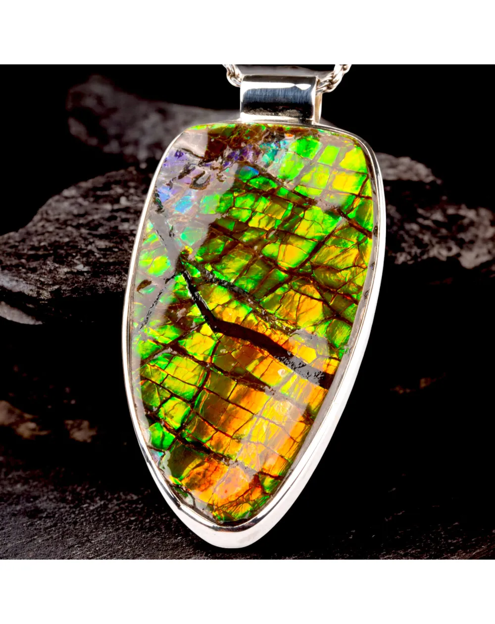 Ciondolo in Argento con Ammolite Fossile.