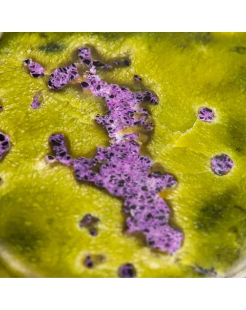 Ciondolo Atlantisite Australiana.