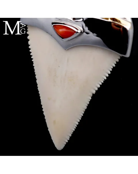 Pendente Unisex in Argento con Dente Naturale di Grande Squalo Bianco e Corallo Rosso.