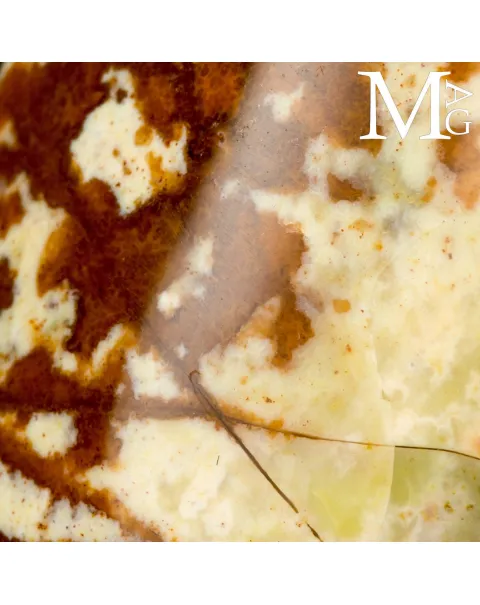 Ciondolo in Argento con Grande Diaspro Naturale del Madagascar