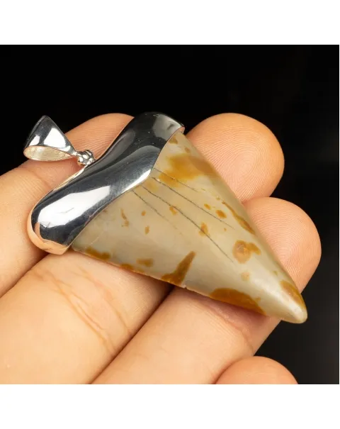 Pendente in argento con Dente di Squalo Fossile
