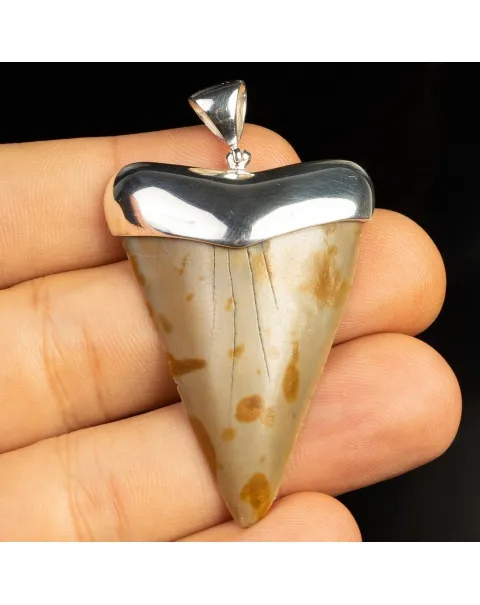 Pendente in argento con Dente di Squalo Fossile