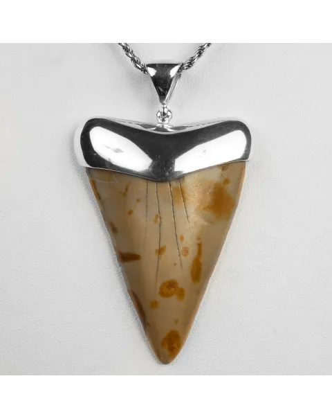 Pendente in argento con Dente di Squalo Fossile