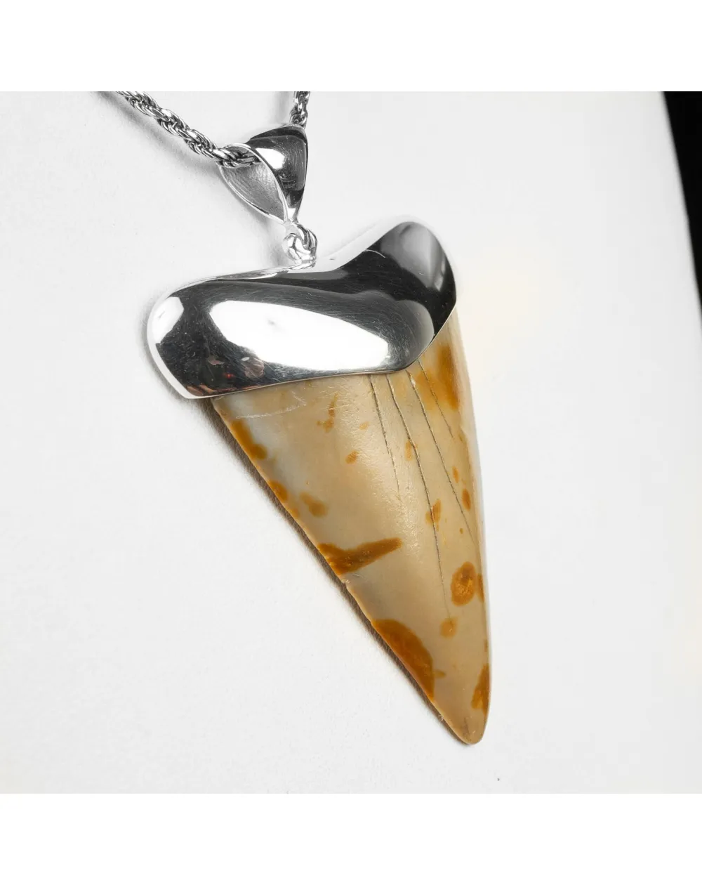 Pendente in argento con Dente di Squalo Fossile