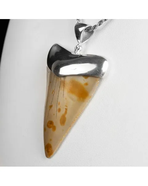 Pendente in argento con Dente di Squalo Fossile