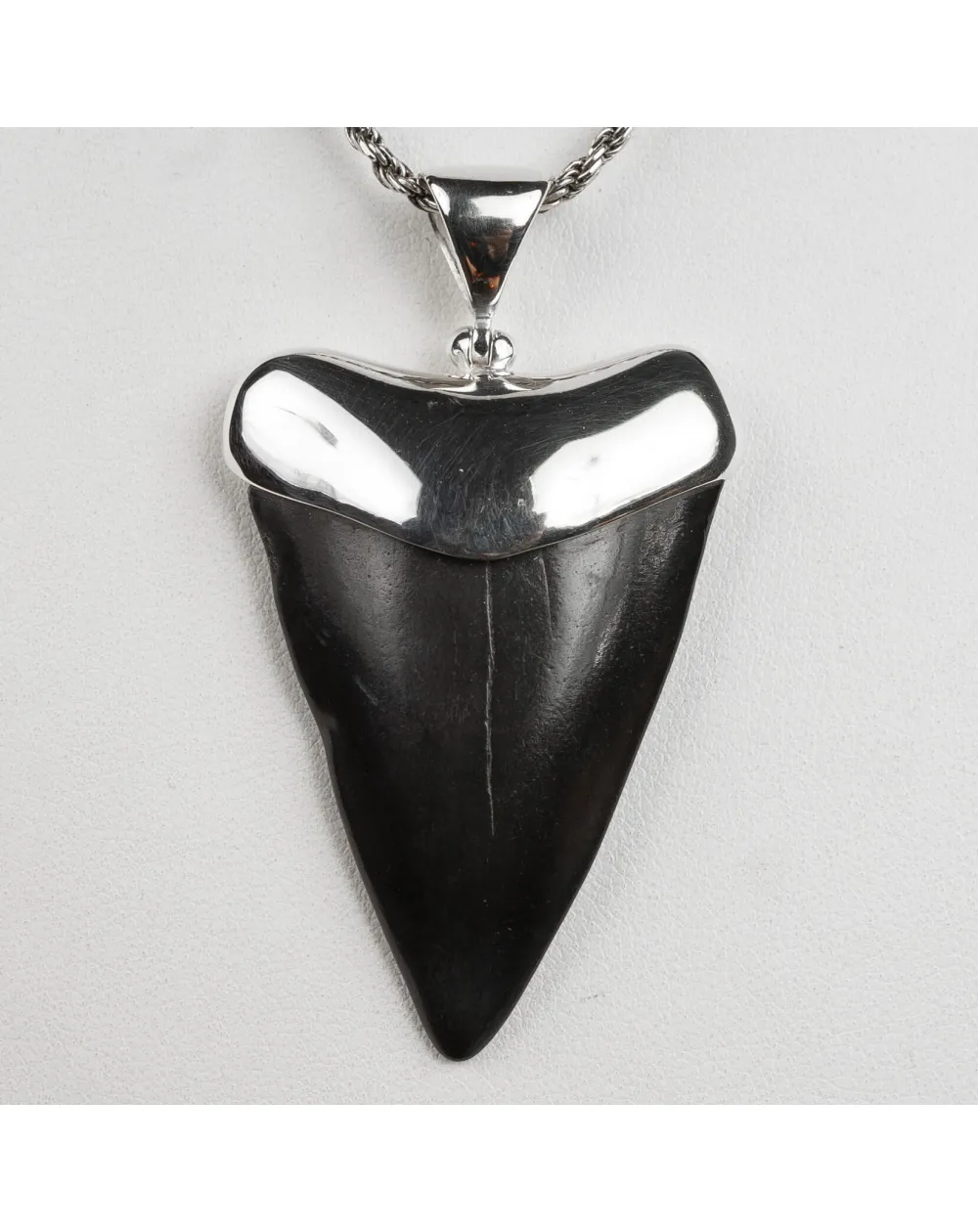 Pendente in argento con Dente di Squalo Fossile