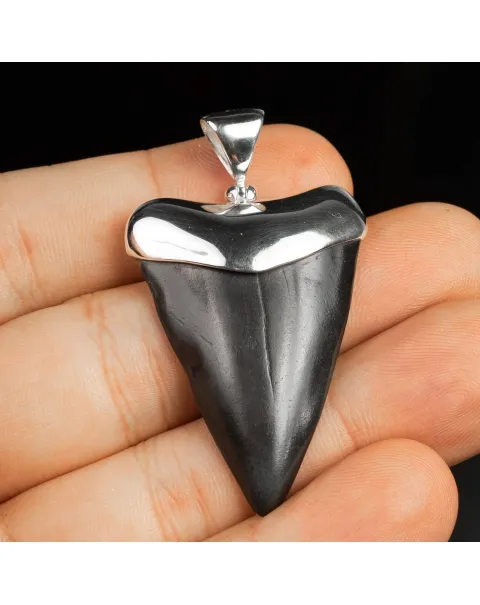Pendente in argento con Dente di Squalo Fossile