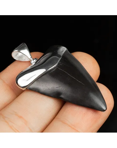 Pendente in argento con Dente di Squalo Fossile
