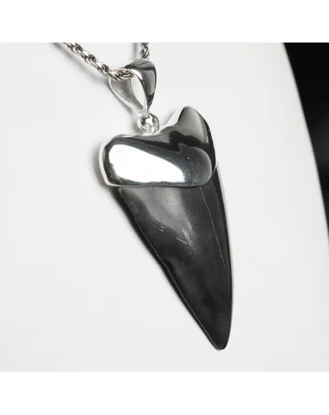 Pendente in argento con Dente di Squalo Fossile