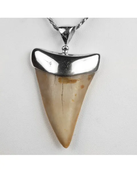 Pendente in argento con Dente di Squalo Fossile