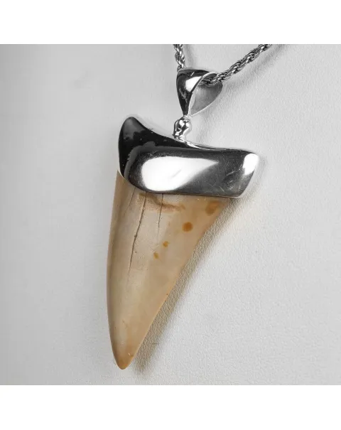 Pendente in argento con Dente di Squalo Fossile
