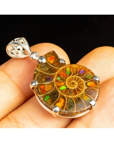 Ciondolo in argento :Ammonite con Ammolite