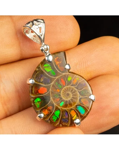 Ciondolo in argento :Ammonite con Ammolite