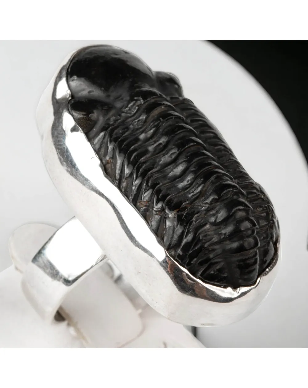 Anello Esclusivo con Trilobite Phacopid: Eleganza Giurassica in Stile Moderno