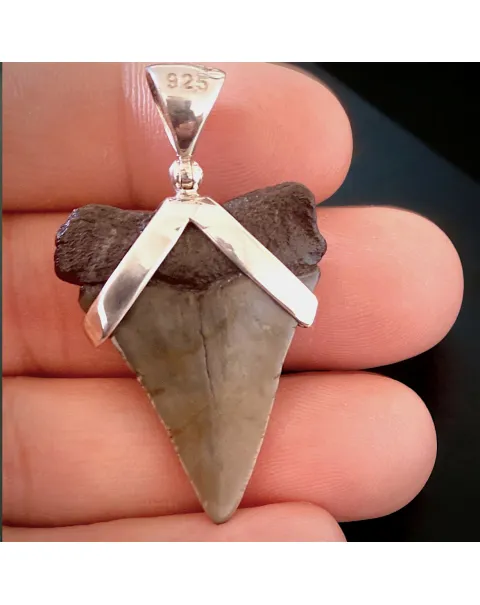 Pendente in Argento 925 con Dente Fossile di Squalo Bianco Hastalis - Un Viaggio nel Tempo