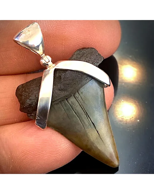 Pendente in Argento 925 con Dente Fossile di Squal...