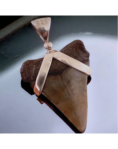 Pendente in Argento 925 con Dente Fossile di Squalo Bianco Hastalis - Un Viaggio nel Tempo