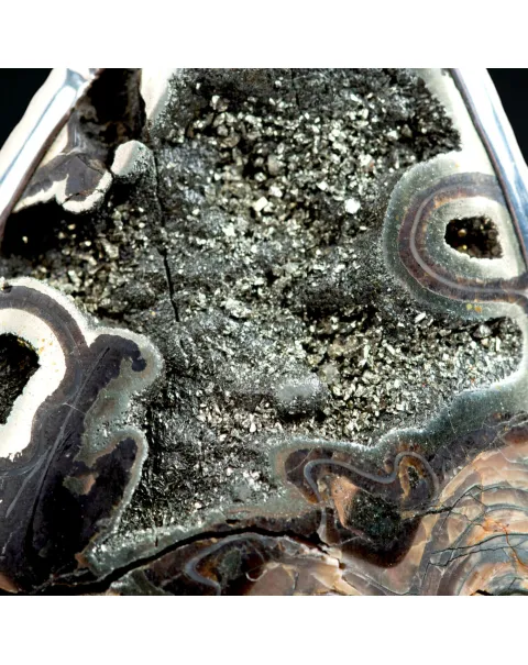 La Bellezza della Trasformazione, Ammonite e Cristalli di Pirite.