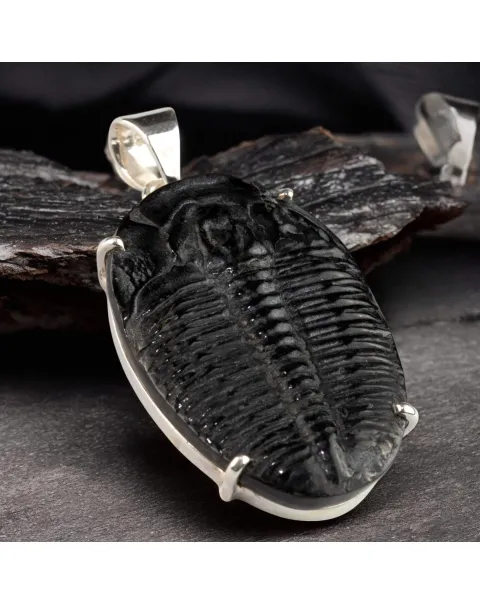 Ciondolo con Trilobite Fossile Elrathia Kingii - Gioielli Giurassici.