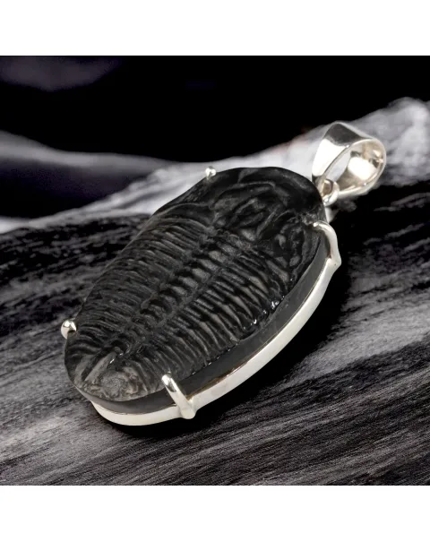 Ciondolo con Trilobite Fossile Elrathia Kingii - Gioielli Giurassici.