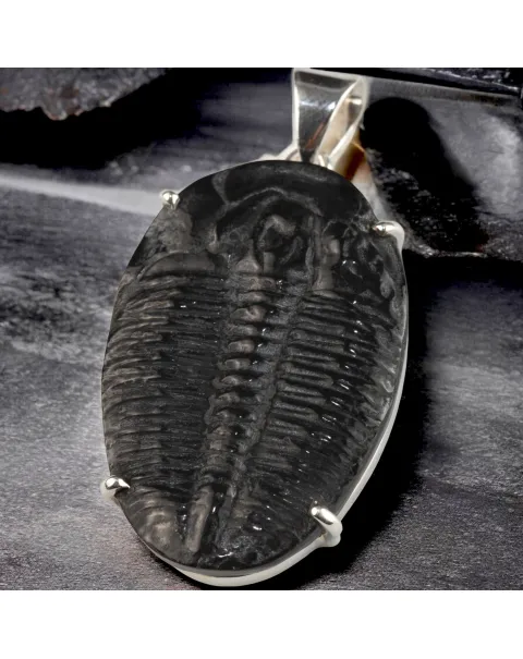 Ciondolo con Trilobite Fossile Elrathia Kingii - Gioielli Giurassici.
