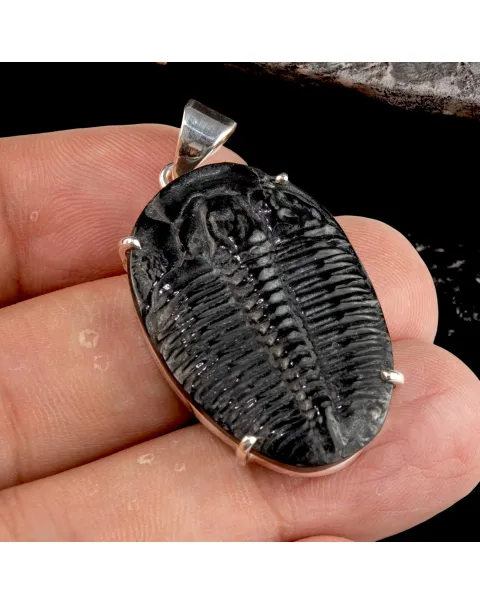 Ciondolo con Trilobite Fossile Elrathia Kingii - Gioielli Giurassici.