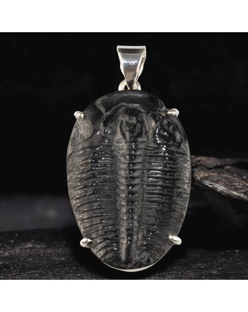 Ciondolo con Trilobite Fossile Elrathia Kingii - Gioielli Giurassici.