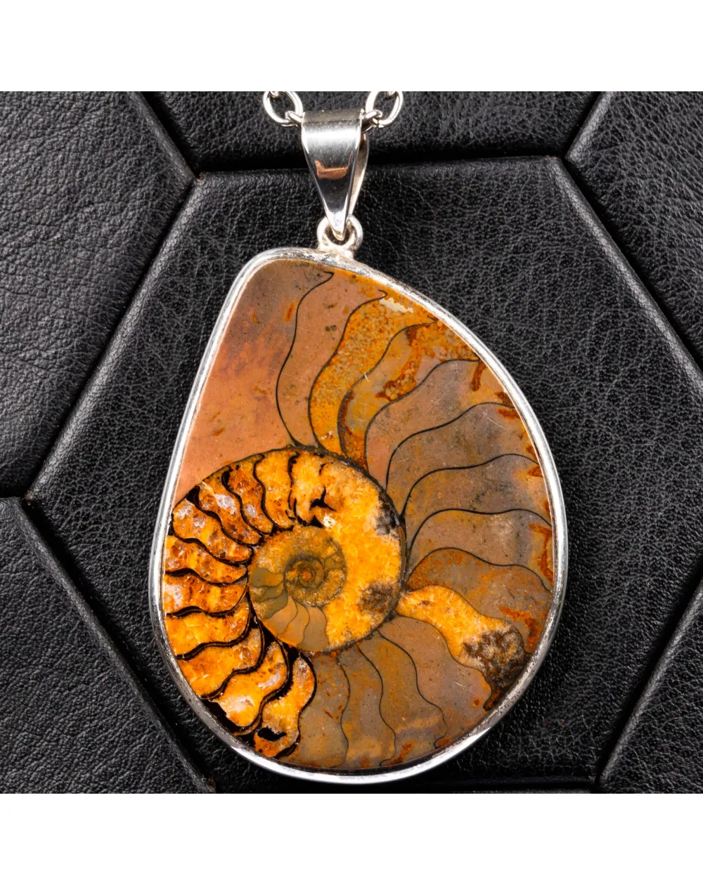 Ciondolo con Ammonite Fossile.