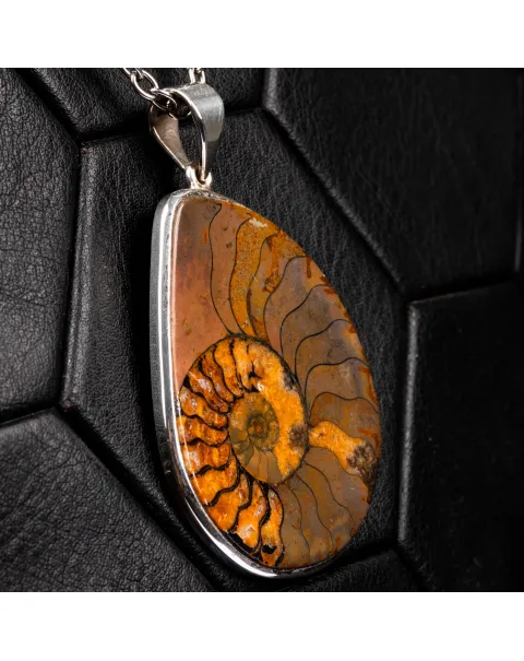 Ciondolo con Ammonite Fossile.