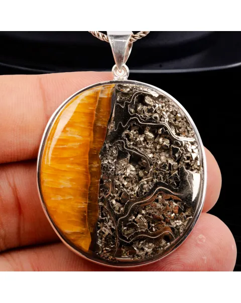 Rara Gemma di Ammonite Fossile Piritizzata.