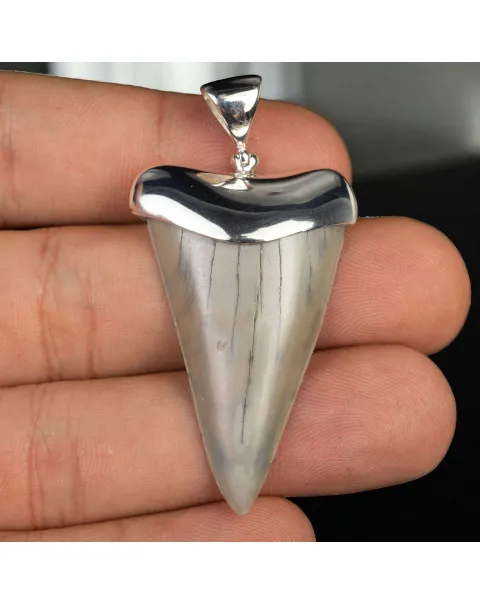 Ciondolo in Argento con Dente Fossile di Squalo Hastalis.