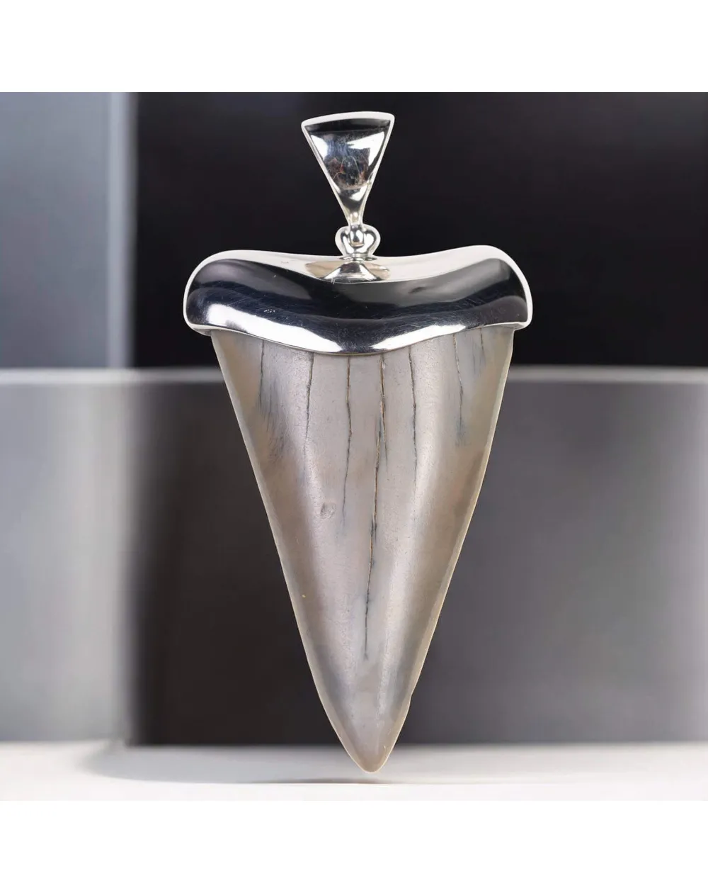 Ciondolo in Argento con Dente Fossile di Squalo Hastalis.