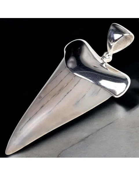 Ciondolo in Argento con Dente Fossile di Squalo Hastalis.