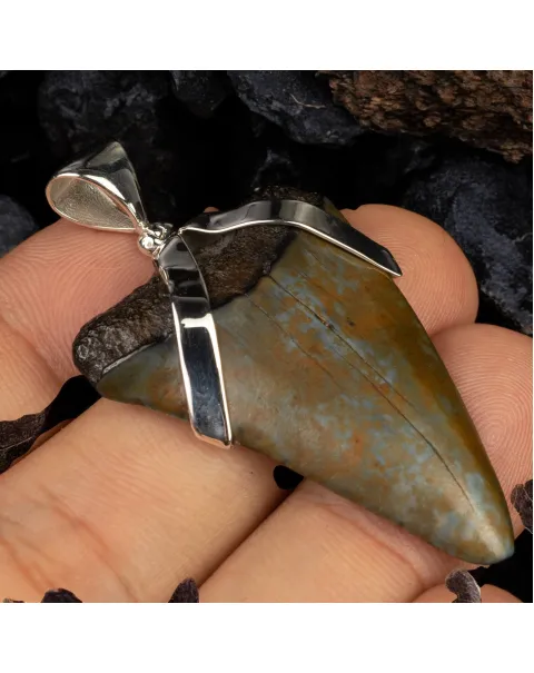 Ciondolo in Argento con Dente Fossile di Carcharodon Hastalis.