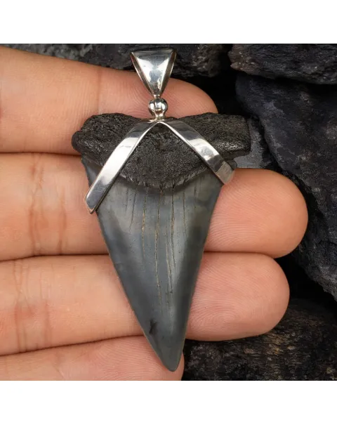 Ciondolo con Dente Fossile di Squalo Preistorico.