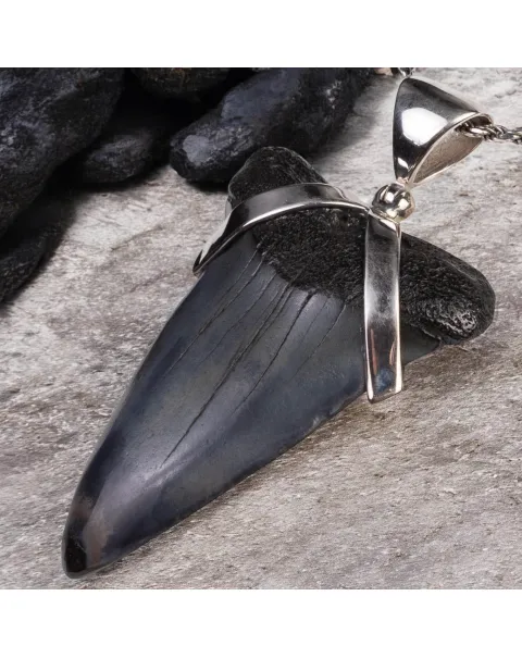 Ciondolo in Argento con Dente Fossile di Squalo Carcharodon Hastalis.