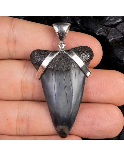 Ciondolo in Argento con Dente Fossile di Squalo Carcharodon Hastalis.