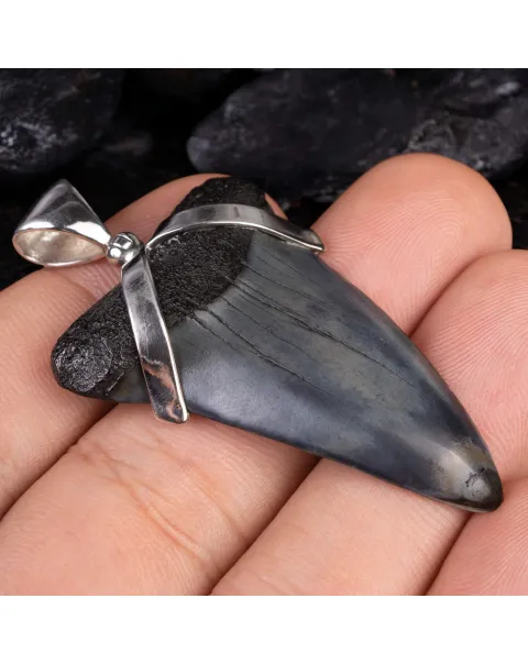 Ciondolo in Argento con Dente Fossile di Squalo Carcharodon Hastalis.