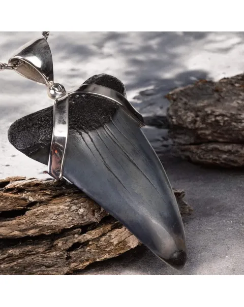 Ciondolo in Argento con Dente Fossile di Squalo Carcharodon Hastalis.