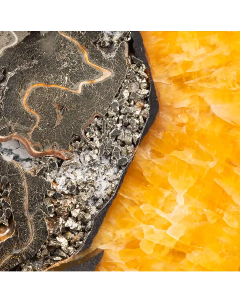 Ciondolo in Argento con Ammonite Fossile Speetoniceras.