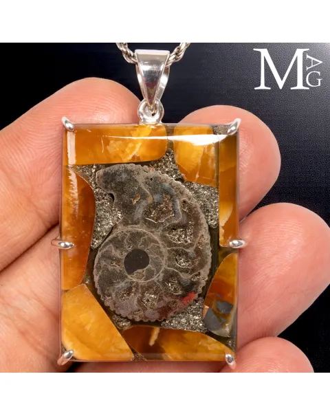 Ammonite Fossile - Il Respiro del Cretaceo