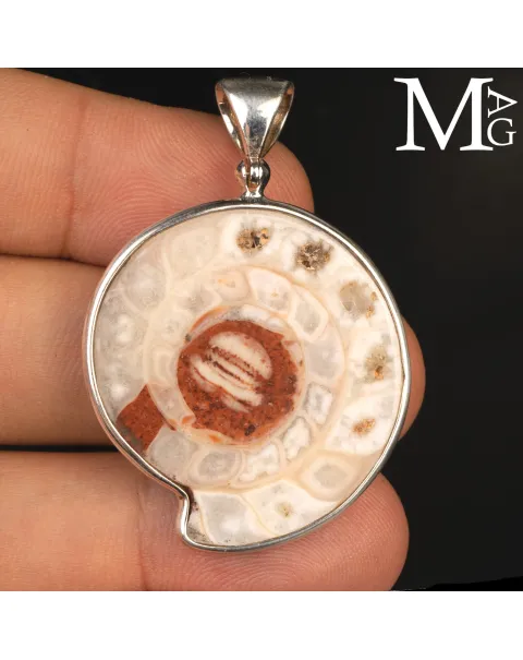 Ciondolo in Argento con Ammonite Fossile Metalegoceras
