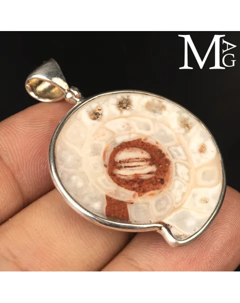 Ciondolo in Argento con Ammonite Fossile Metalegoceras