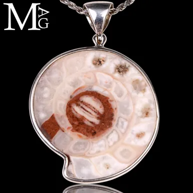 Ciondolo in Argento con Ammonite Fossile Metalegoc...
