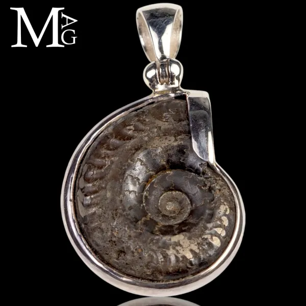 Ammonite Fossile del Giurassico in Argento 925